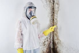 Trusted East Kapolei, HI Mold Remediation Experts